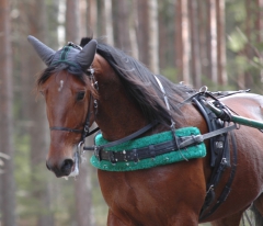 Ugly Duckling 160318-6